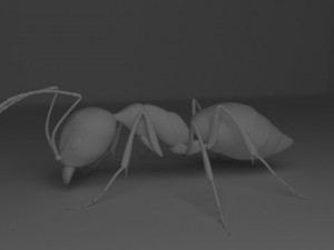 ant 3D Model