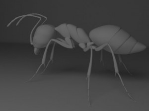 ant 3D Model