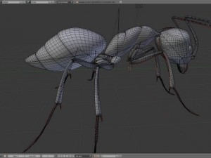 ant 3D Model