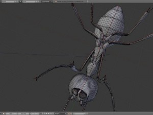 ant 3D Model
