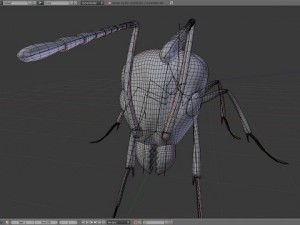 ant 3D Model
