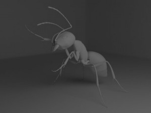 ant 3D Model