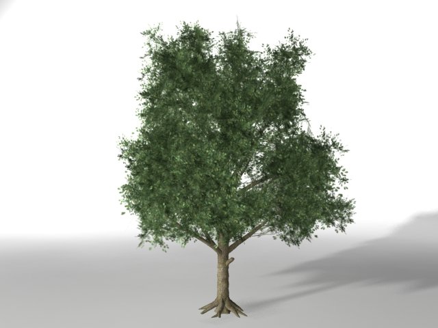 young tree 3D 모델 .c4d .max .obj .3ds .fbx .stl .blend 