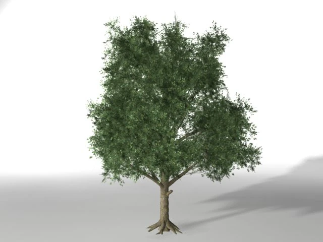 young tree 3D Model .c4d .max .obj .3ds .fbx .stl .blend 