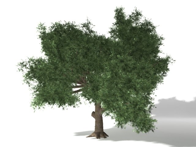 tree 3D Model .c4d .max .obj .3ds .fbx .stl .blend 