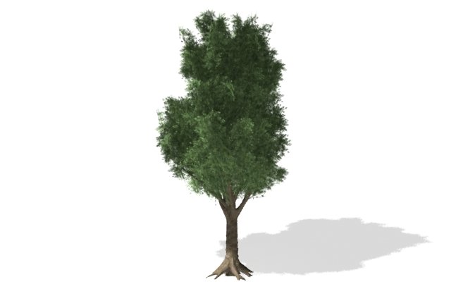 young tree 3D Model .c4d .max .obj .3ds .fbx .stl .blend 