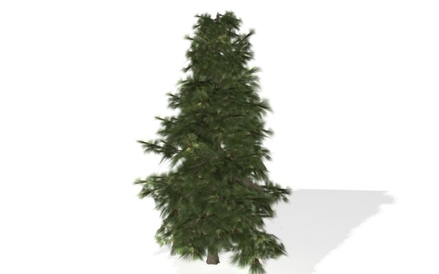 firtree Modèle 3D .c4d .max .obj .3ds .fbx .stl .blend 