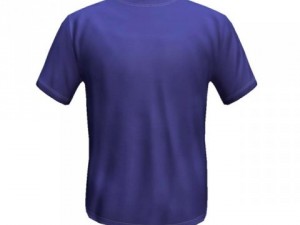blue tshirt 3D 模型