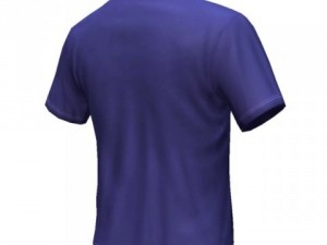 blue tshirt 3D Model