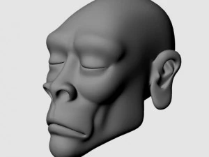 アフリカの頭 3Dモデル