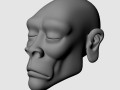 african head 3Dモデル