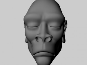 african head 3D 模型