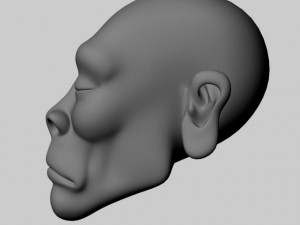 african head 3D 模型