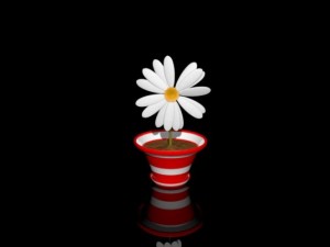 flower 3D-Modell