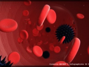 blood flux 3D Model