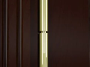 doors 3D Model