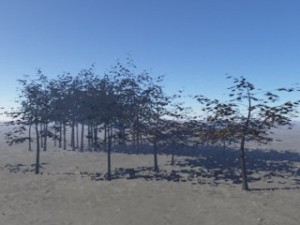 trees Modello 3D