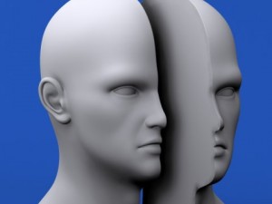 head cutaway anatomy 3D Model