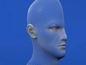 head cutaway anatomy 3D Model