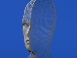 head cutaway anatomy 3D Model