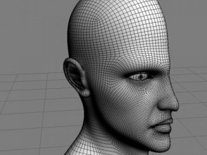 head cutaway anatomy 3D Model