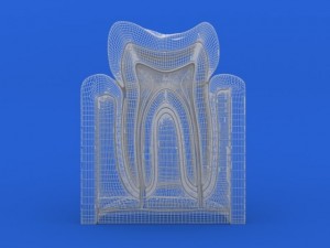 tooth cutaway 3D Модель