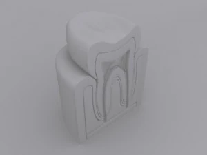 tooth cutaway 3D Model