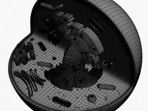 animal cell structure 3D Model