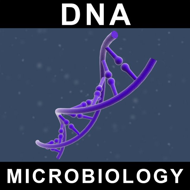 dna 3D Модель .c4d .max .obj .3ds .fbx .stl .blend 