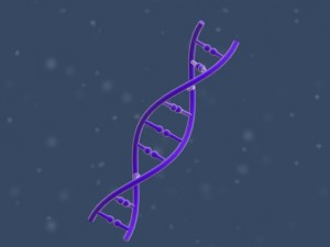 dna 3D Модель