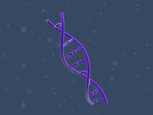 dna 3D Модель