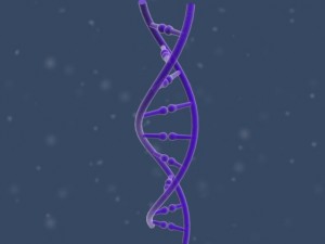 dna 3D Модель