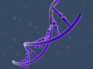 dna 3D Модель