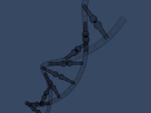 dna 3D Модель