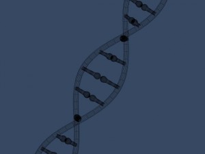 dna 3D Модель