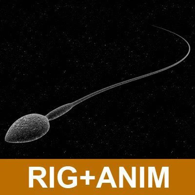 animated sperm 3D Model .c4d .max .obj .3ds .fbx .stl .blend 