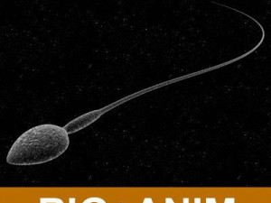 animated sperm Model 3D