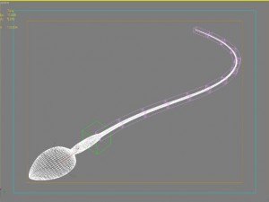 animated sperm 3D 模型