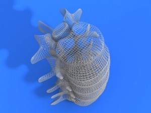 lumbar vertebrae and spinal cord 3Dモデル