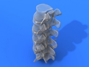 lumbar vertebrae and spinal cord 3Dモデル
