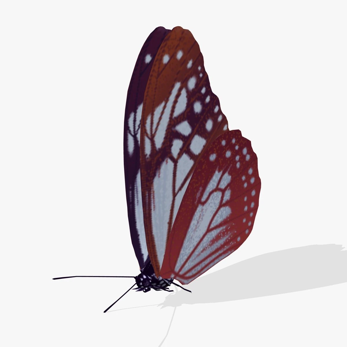 fantasy butterfly 3D Model .c4d .max .obj .3ds .fbx .stl .blend 
