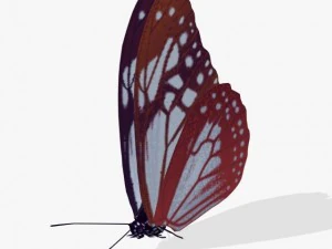 фантазийная бабочка 3D Модель