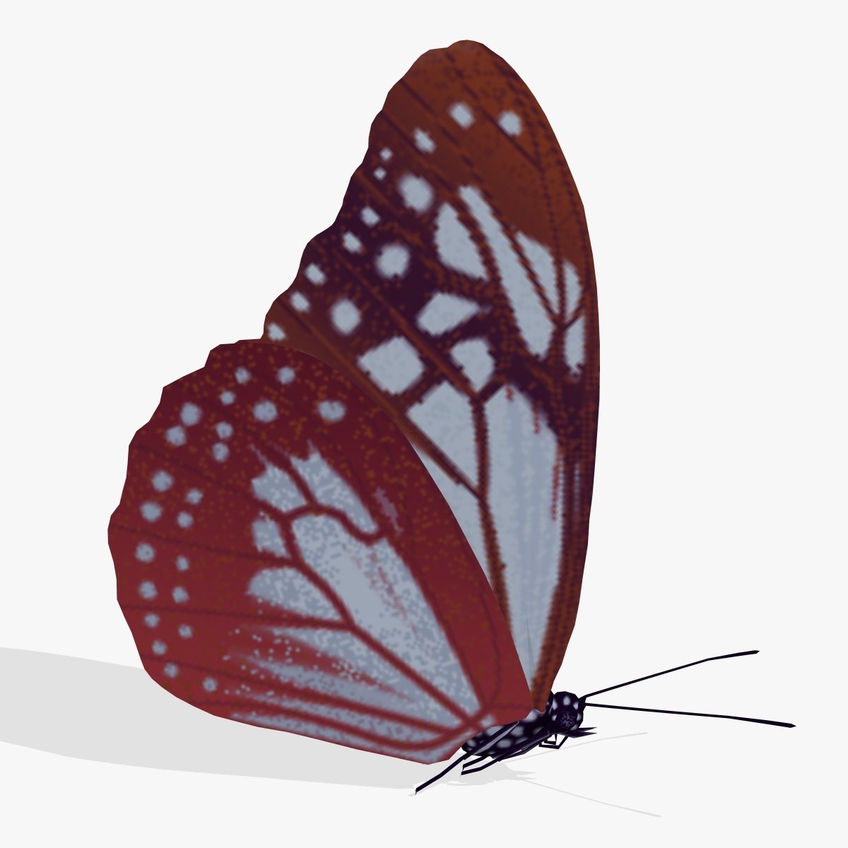 Бабочка 3д модель