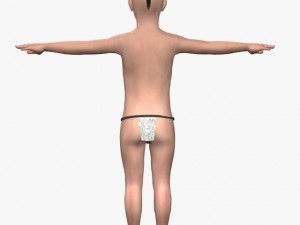 fantasy boy chunnu 3Dモデル