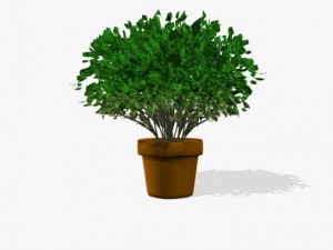 fantasy green port 3D मॉडल