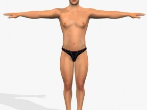 muskul&ouml;ser Mohit 3D Modell