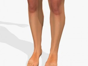 muscularmohit 3D Model