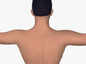 young boy ravi 3D Модель