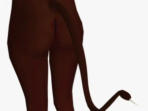 game character sundari 3D Model
