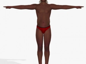 fantasy man zhumru 3D Модель
